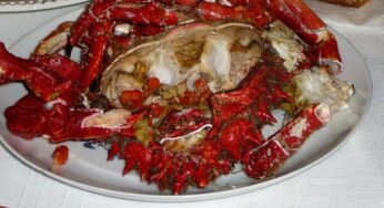 Como cocer una centolla gallega