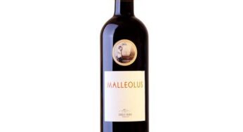 Malleolus