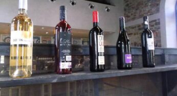 6 Vinos del Bierzo consiguen premios en el concurso Mono Vino 2014