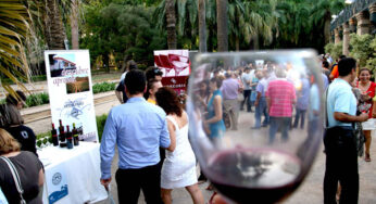 Aniversario de la DOP Valencia con ‘La Noche del Vino’