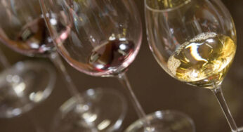Conocemos ya el número de vinos que participarán en la Feira do Viño Rías Baixas