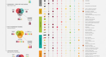 Guía avanzada para el maridaje de vinos y comidas (infografía)