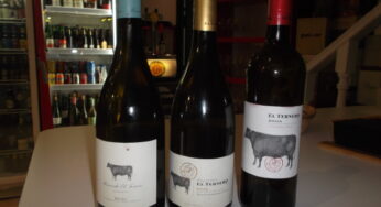 Cata de vinos de bodega Hacienda El Ternero