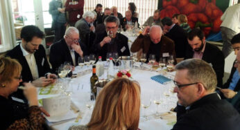 Doce bodegas de la D.O. Rías Baixas protagonizan hoy un tunel del vino en Gante