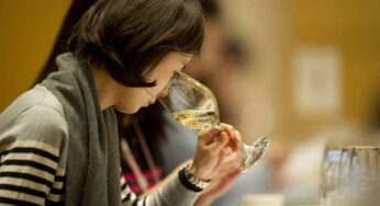 6 Consejos para aprender a catar vinos
