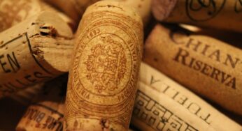 ¿Se acerca el fin del corcho en los tapones de vino?