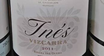 Inés Vizcarra 2011