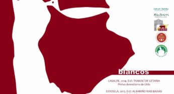 Cata de vinos ofrecida por Sidrería A Cañada en Madrid