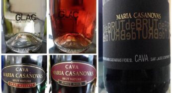 Cata de cavas de Maria Casanovas