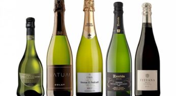 Los 5 mejores cavas para Decanter estas Navidades si no queremos champagne