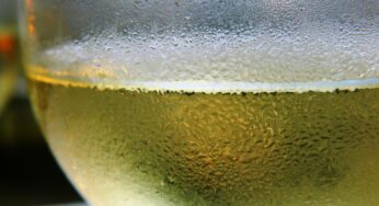 7 Recetas con las que maridar un Riesling