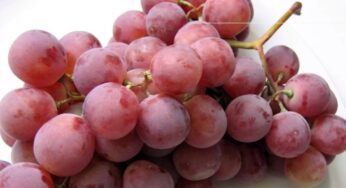 Se vende un racimo de uvas en Japon por 9500 euros