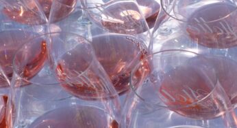 Cata de vinos rosados ‘low cost’ de Mercadona