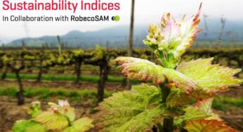 Viña Concha y Toro, única compañía vitivinícola del mundo en integrar el Índice de Sustentabilidad de Dow Jones 2016