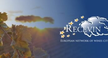 Cambados será Ciudad Europea del Vino 2017 #recevin