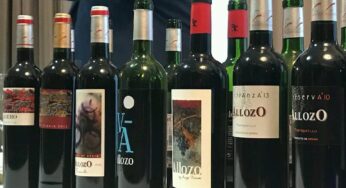 Catamos vinos de Bodegas Allozo Centro Españolas