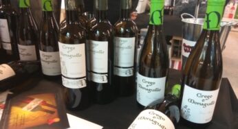 Catamos vinos de Bodega Crego e Monaguillo de la DO Monterrei