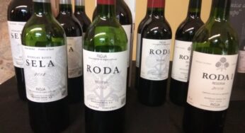 Catamos vinos de Bodegas Roda