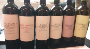 Catamos vinos de Luberri-Familia Monje Amestoy, Rioja Alavesa