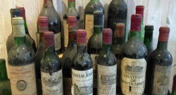 Encuentran en un restaurante una bodega secreta con auténticas joyas de vinos