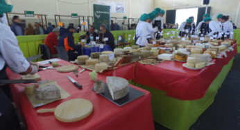 Fenomenal inicio de la IX Feria del Queso Artesanal de Andalucía