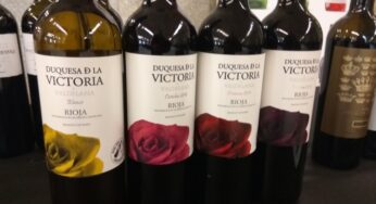 Catamos vinos de Bodegas Valdelana, DOCa Rioja