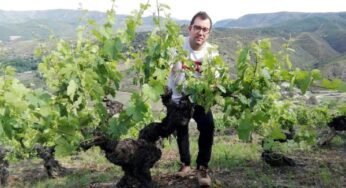 Entrevistamos a Nacho Álvarez uno de los enólogos de moda en España