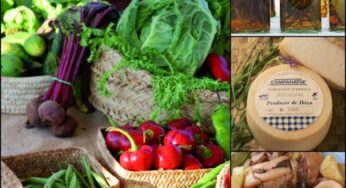 ‘Sabores de Ibiza’, la excelencia gastronómica de la isla