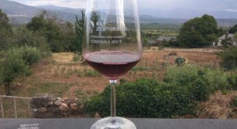 Elegido el mejor vino casero de el Bierzo