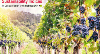 Viña Concha y Toro entra al top #10 a nivel global del Índice de Sustentabilidad Dow Jones