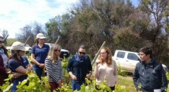 Consorcio I+D de Vinos de Chile organizó interesante taller sobre recuperación de viñedos tras incendios forestales